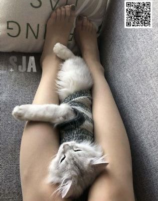 宿敌印度电影_剧情片免费观看最新