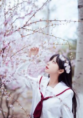 刀尖电影在线观看免费完整版_剧情片高清在线观看